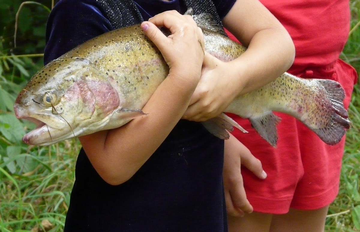 Pêche en étang au Domaine du Moulin rouge Gîte vacance