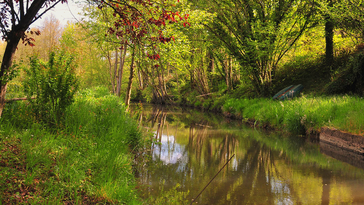 Pêche au Domaine du Moulin Rouge  dans l'Yonne à Saint Martin sur Ouanne