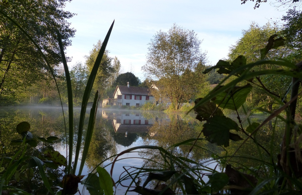 Domaine du Moulin Rouge Hébergement activités pêche dans l'Yonne au coeur de la nature